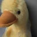 Plush Duck Stuffed Animal - Ultra Soft & Huggable, 18 Inch Cuddly Duck Buddy for Boys & Girls, for Birthday/Christmas/Valentine‘s Day (Yellow)