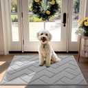 hicorfe Front Door Mat Outside Entrance,32"x40" Absorbent Muddy Dirt Resist Welcome Door Mats Outdoor Indoor, Stain and Fade Resistant, Non Slip Backing Entry Mat Doormat for Entryway(Light Grey)
