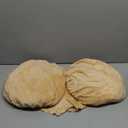 Fake Butt Halloween Costume, Adult Fat Suit with Big Booty Cheeks, Funny Old Lady Grandma Outfit for Cosplay, Christmas & Party Dress Up SizeL/XL