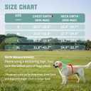 AUROTH Dog Harness No Pull Soft Padded Service Dog Vest, No Choke, Easy On Pet Vest with Handle, Adjustable Reflective Dog Harness for Small, Medium and Large Dogs, Easy Walking and Training