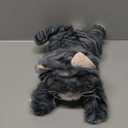 Gray Tabby Cat Stuffed Animals, Microwavable Stuffed Animal Adorable Fluffy Cat Plush for Warmth & Comfort, Heatable & Coolable Lavender Scent Cat Toys, Cute Soft Plushies Cat Gifts for Kids & Adults