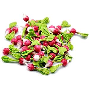 13 Radish Vegetable Dollhouse Miniatures Food