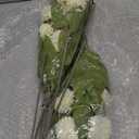 VIERENA 6 Pcs Faux Silk Pompon Mum Artificial Flowers for Vase -27", Bulk Fake Chrysanth Branches with Stems for DIY Bouquet Centerpieces Wedding Fillers Arrangements Shower Decorations (Cream)