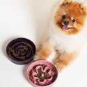 LE TAUCI Ceramic Slow Feeder Dog Bowls Small Breed, 0.6 Cups Dog Food Dish for Fast Eaters, Puzzle Bowl for Small Dogs and Cats,Purple