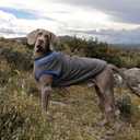 Lelepet Fleece Dog Sweater Zip Up Dog Fleece Jacket Reflective Warm Sweatshirt for Cold Weather Soft & Lightweight Pet Sweater Vest for Puppy Small Medium Large Dogs(XS-3XL) (Gray)