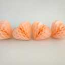2 x Heart Tissue Paper Pom Poms Paper Honeycomb Ball Hearts Decorations 12pcs 4" 6" 8" Perfect for Party Decor Wedding Valentine's Day Bridal Shower Baby Shower Birthday