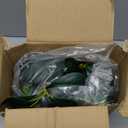 AlphaAcc Artificial Succulents Plants Decor Greenery Fake Succulents Indoor Potted Fake Plant with Rustic Black Clay Planter for Farmhouse Room Bathroom Bedroom Kitchen Office Dese Coffee Table Decor (12.8" H)