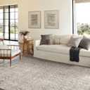 Loloi Amber Lewis Alie Collection ALE-01 Stone/Mist 5'-3'' x 7'-9'', .13'' Pile Height, Area Rug
