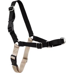 PetSafe Easy Walk Harness for Dogs - Pull-Free Walks - Patented Martingale Loop Design - Front Chest Leash Attachment - Adjustable Comfort Straps - Breathable Harness Design - Large, Black/Silver