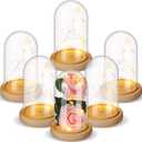 Remerry 6 Pcs 6.5 x 3.7 Inch Plastic Cloche Dome with Base and LED Fairy Light Plastic Dome Display Case for Craft DIY Display Flower Candle Plants Medals Photos Antique Doll Decorative Fill