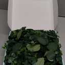 Dolicer 2 Packs 6FT Artificial Eucalyptus Garland, Faux Greenery Garland Hanging Fake Silver Dollar Eucalyptus Leaves Vines for Wedding Backdrop Arch Table Wall Party Home Decor