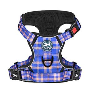 PoyPet No Pull Dog Harness, Reflective Adjustable No Choke Pet Vest with Front & Back 2 Leash Attachments, Soft Control Training Handle for  Dogs(Checkered Blue & Orange,Small)