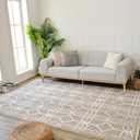 RUG BRANCH Nomad 4'x6' (Exact Size: 3'11" x 5'7") Abstract Indoor Area Rug, Beige Brown, Modern - Living Room, Bedroom, Dining Room, and Kitchen