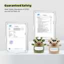 2 Pack Baby Teething Toys for 3-6 6-12 Months, Food Grade Silicone Infant Teether Mitten, Baby Essentials Teething Relief, Newborn Essentials Chew Toys for Sucking Needs (White & Green)