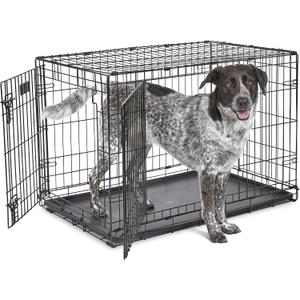MidWest Homes for Pets 36-Inch iCrate for Medium-Large Breeds, 41-70 lbs, Double Door Folding Dog Crate with Divider Panel, Leak-Proof Tray & Secure Latches, Portable, Durable & Easy to Assemble