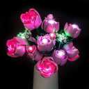 Light Kit Compatible with Lego 10374 Bouquet of Pink Roses - No Model Only Light, LED Lighting Accessories Compatible with Lego 10374