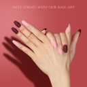 2 x Generic 288PCS Medium Press on Nails Coffin, Medium Length Matte Fake Nails, Acrylic Ballerina False Nails Full Cover, Stick Glue On Nails, 12 Colors