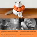 Cat Cone Collar,Cute Waterproof Recovery Collar,Anti-Bite Lick Wound Healing Safety Elizabethan e Collar for Cats,Orange Pumpkin Cat Halloween Costume, M