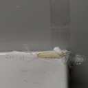 ESRICH Stretched Canvas for Painting 24x36 Inch, 2 Pack Large Canvas for Painting, Primed Acid-Free Cotton Blank Canvases 24x36 Inch, Large Painting Canvas for Oil Paint,Watercolor,Acrylic Paint.