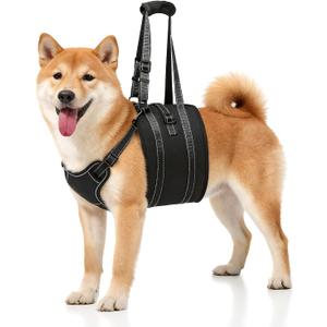 NOYAL Dog Lift Harness Sling - Adjustable Pet Carrier for Senior Dogs with Arthritis Joint Injuries, Emergency Support Rehabilitation Aid for Nail Trimming, Stairs Assistance M