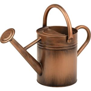 Homarden 1 Gallon Copper Decorative Watering Can - Metal Watering Cans for Indoor and Outdoor House Plants - Removable Spout and Dual Handles - Small Water Can for Bonsai Plant - 16.1Dx6.2Wx7.9H in