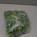 DearHouse Faux Eucalyptus Garland Plant, 2 Pack Artificial Vines Hanging Eucalyptus Leaves Greenery Garland for Wedding Backdrop Arch Wall Decor, 6 Feet/pcs UV Protected Indoor Outdoor