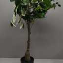 Nearly Natural Mediterranean Indoor Artificial Olive Tree 4FT Tall Faux Olive Plant for Home and Office Decor, Fake Olive Tree with Planter, Realistic Olive Tree Branches and Olive Fruits