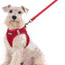 Rabbitgoo Dog Harness Small Sized and Leash Set, Step in Soft Light Puppy Vest, Breathable Mesh Pet Harness, Reflective for Outdoor Safe Walking, Red XXL (Chest: 21.6 - 23.7"))