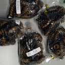 PHOCAS 5Packs 10'' Toin Curl Short Crochet Hair Curl Crochet Braids for Women Natural Black to Golden Blonde