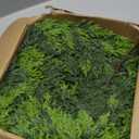 6FT Lush Christmas Cedar Garland Real Touch Artificial Realistic Soft and Thickness Greenery Faux Cedar Pine Garland for Home Fireplace Table Indoor Outdoor Holiday Christmas Decoration