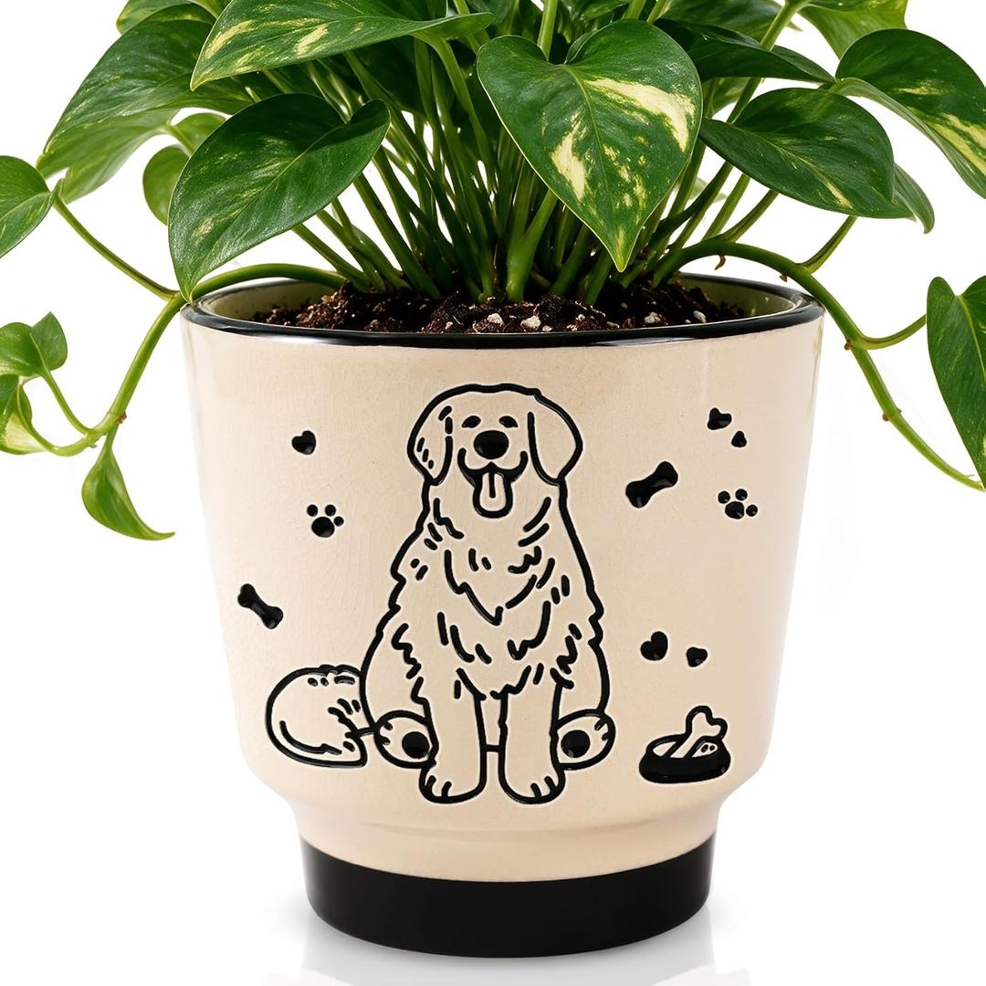 5 inch Plant Pots with Drainage Holes, Ceramic Planters for Indoor Plants, Small