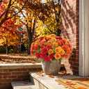 24 Pcs Artificial Mums Flowers for Outdoor, UV Resistant Fake fall Chrysanthemums Marigold Plant, Autumn Floral Arrangements for Outside, Garden, Yard(24, Orange, Burnt Orange, Red, Burgundy)
