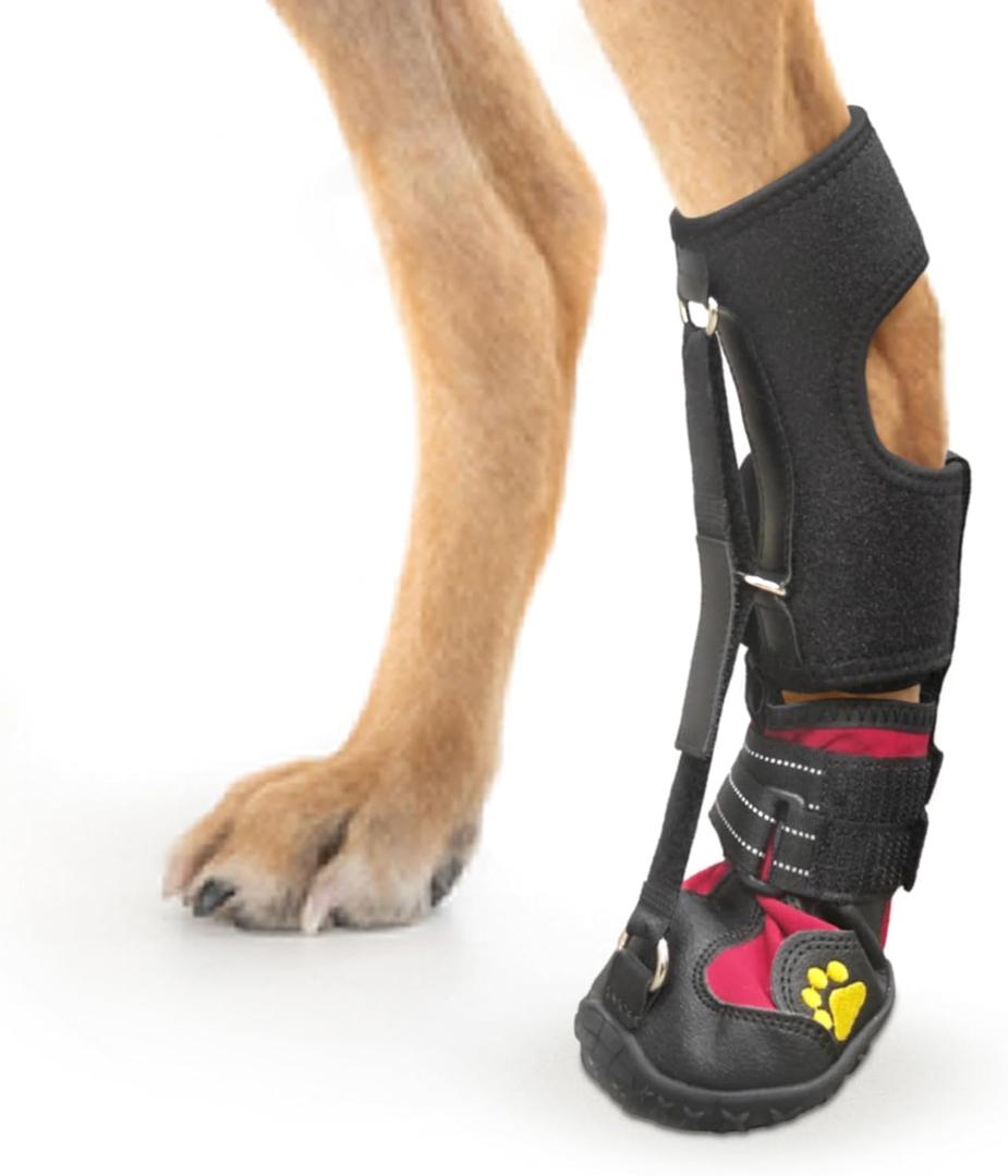 Strap-On Drop Foot Brace (No Knuckling Boot Brace) for Dogs Corrective Dog Shoes to Safely Lift Toes for Foot Issues, Arthritis, and improving Walking gait in Dogs,Patent Pending(L)