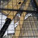 FLEXIMOUNTS 3x6 Overhead Garage Storage Adjustable Ceiling Rack 72" Length x 36" Width x 40" Height, 450lbs Weight Capacity, Black, Classic Series