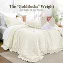 JOLLYVOGUE Ivory Twin Size Comforter Set, 2 Pieces Seersucker Lightweight Fluffy Bedding Set, Twin Ruffle Comforter, All Season Soft Microfiber Shabby Chic Bed Set