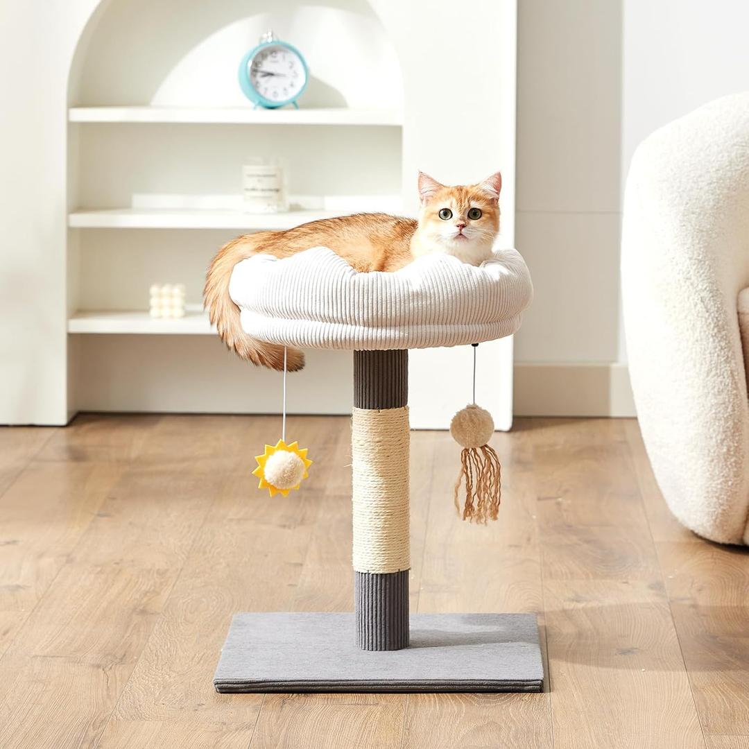 Gardner Pet 20" Cat Tree, Solid Wood Small Cat Tree, Cat Scratching-Posts & Hanging Toys, Removable Cat Bed, Compact Cat Tower Perch for Kittens(Grey, Circle-Corduroy)