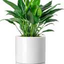 vancasso Ceramic Plant Pots, 8.25 Inch Ceramic Pot for Plants, Planters Pots for Indoor Plants with Drainage Holes, Flower Pot for Indoor House Plant, White