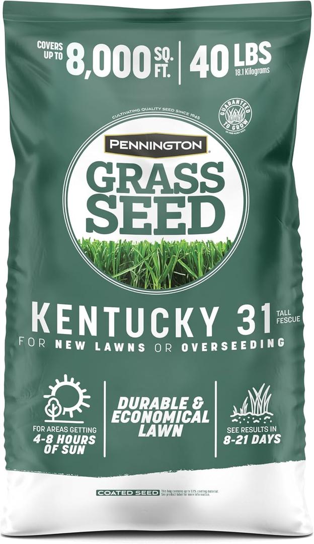 Pennington Kentucky 31 Fescue 40 LB Tall Fescue Grass Seed, Grass Seeds for Lawn