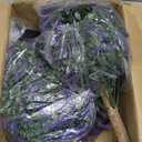 2 x 24" Artificial Lavender Boxwood Topiary Ball Trees, 2 Pack UV Resistant Fake Bushes Plants for Outdoor, Faux Shrub with Ground Spike for Indoor Front Porch Garden