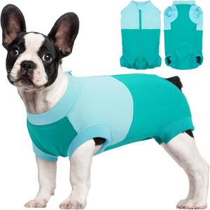 1 Piece Dog Bodysuit for Post-Operative Dogs with Zipper, Small