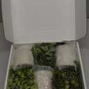 Der Rose 3 Pack Mini Potted Fake Plants Artificial Plastic Eucalyptus Plants Topiaries for Home Office Desk Farmhouse Shelf Room Bathroom Decor, Grey 