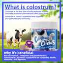 2 x Allcoovita Bovine Colostrum Chews Supplement with probiotics for Gut Health, Bloating, Immune Support, Skin, Hair Growth and Beauty - Blueberry Flavor (60 Servings)