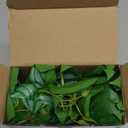 Der Rose 2Pcs Small Fake Plants Artificial Mini Faux Plants for Bathroom Office Desk Shelf Table Accessories Decor Indoor (White)