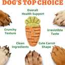 Just Try 16 OZ Baked Carrot Dog Treats Biscuits for Dogs High Dog Fiber Training Treats Healthy Dog Treats (EXP 06/11/27)