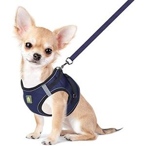 FEimaX Dog Harness and Leash Set, No Pull Breathable Soft Mesh Puppy Vest Harness Reflective Adjustable Pet Harnesses for Small Dogs and Cats - Outdoor Easy Control for Walking