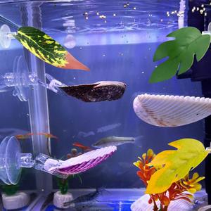 VCEPJH Betta Hammock with Suction Cups Betta Resting Spot 3 Pcs Shell Bed Toys for Aquarium Small Fish Natural Spawning Grounds Breeding Fish Tank Accessories Decorations (3 Pcs Scallops +2 Pcs Oysters + 3 Plant)