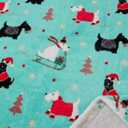 2 x Super Soft Faux Rabbit Fur Twin Blanket for Couch, Christmas Style, Brushed Faux Fur Soft and Warm Plush Sherpa for Couch,Sofa and Bed,Green, 60"x80"