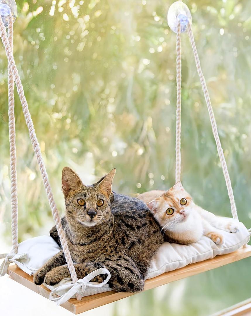 Cat Window Perch for Large Cats - Hammock Bed for Heavy Indoor Cats - Solid Wood Seat, 5 Strong Suction Cups, Soft Cushion - Rustic Shelf for Pets Inside (Beige)