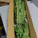 CQURE 45" Fake Ferns Artificial Plants Large,Set of 2 Artificial Boston Ferns Faux Hanging Fake Plants for Outdoors Planter Home Garden Decor,60 Branches