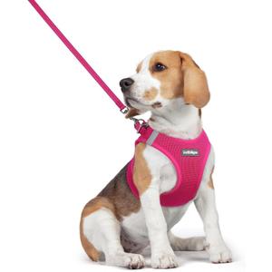 rabbitgoo Dog Harness Small Medium Sized and Leash Set, Step in Soft Light Puppy Vest, Breathable Mesh Pet Harness, Reflective for Safe Easy Walking, Rose Red L